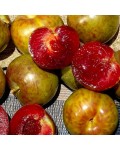 Pluot ‘Flavor Supreme’